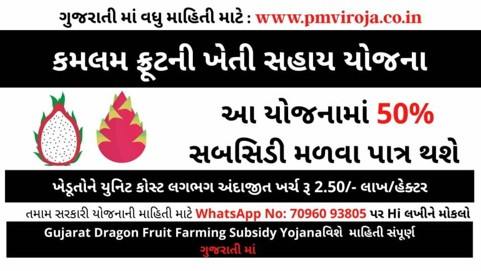 Gujarat Dragon Fruit Farming Subsidy Yojana | કમલમ ફ્રૂટની ખેતી સહાય યોજના 1 Gujarat Dragon Fruit Farming Subsidy Yojana