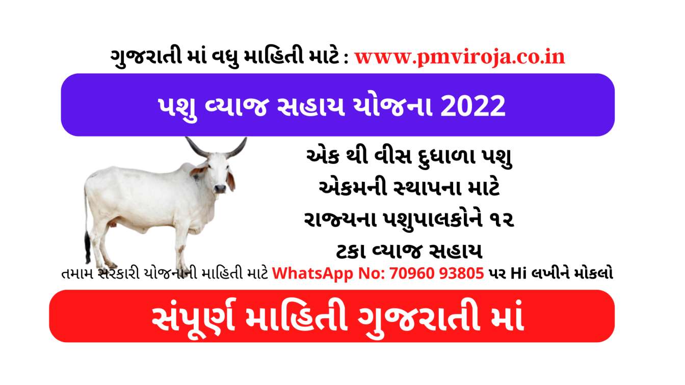એક થી વીસ દુધાળા પશુ એકમની સ્થાપના માટે રાજ્યના પશુપાલકોને ૧૨ ટકા વ્યાજ સહાય | પશુ વ્યાજ સહાય યોજના 2022 1 એક થી વીસ દુધાળા પશુ એકમની સ્થાપના માટે રાજ્યના પશુપાલકોને ૧૨ ટકા વ્યાજ સહાય | પશુ વ્યાજ સહાય યોજના 2022 | Pashupalan Yojana | Ikhedut Pashupalan Scheme 2022 |