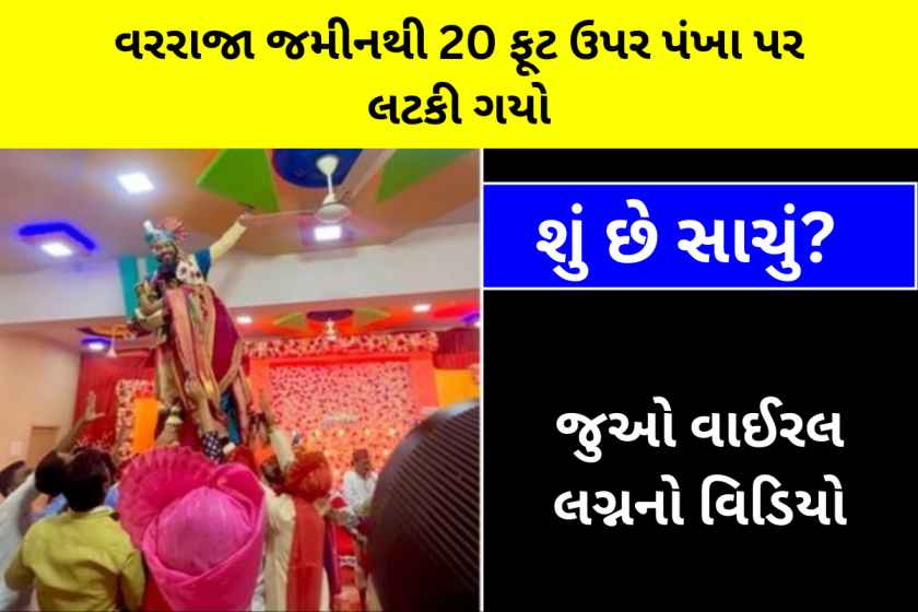 વાઈરલ લગ્નનો વિડિયો: વરરાજા જમીનથી 20 ફૂટ ઉપર પંખા પર લટકી ગયો, જુઓ વાઈરલ લગ્નનો વિડિયો 1 વાઈરલ લગ્નનો વિડિયો