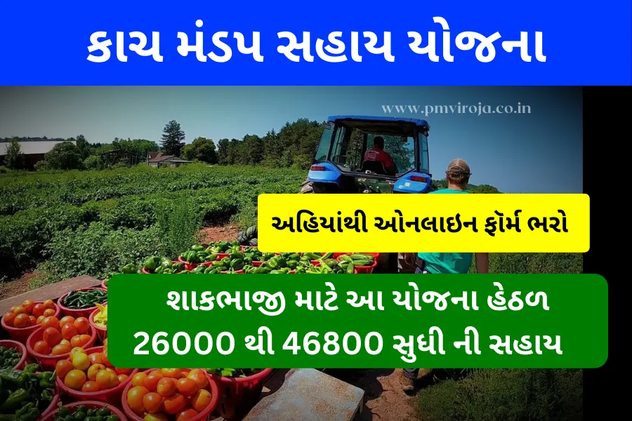 કાચા મંડપ સહાય યોજના 2023, નાણાકીય સહાયથી શાકભાજીની ખેતીમાં વધારો - Kacha Mandap Sahay Yojana 2023 1 Kacha Mandap Sahay Yojana 2023 (કચ્છ મંડપ સહાય યોજના)