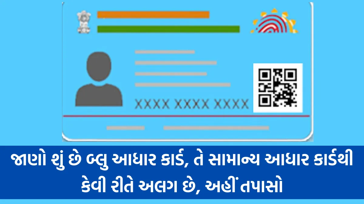 જાણો શું છે બ્લુ આધાર કાર્ડ, તે સામાન્ય આધાર કાર્ડથી કેવી રીતે અલગ છે, અહીં તપાસો - Blue Aadhaar Card 1 Blue Aadhaar Card, બ્લુ આધાર કાર્ડ