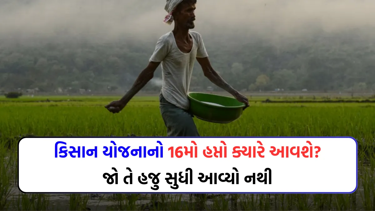PM કિસાન યોજનાનો 16મો હપ્તો ક્યારે આવશે? જો તે હજુ સુધી આવ્યો નથી, તો જાણો કેવી રીતે સ્ટેટસ ચેક કરવું - PM Kisan 16th installment 2 PM Kisan 16th installment