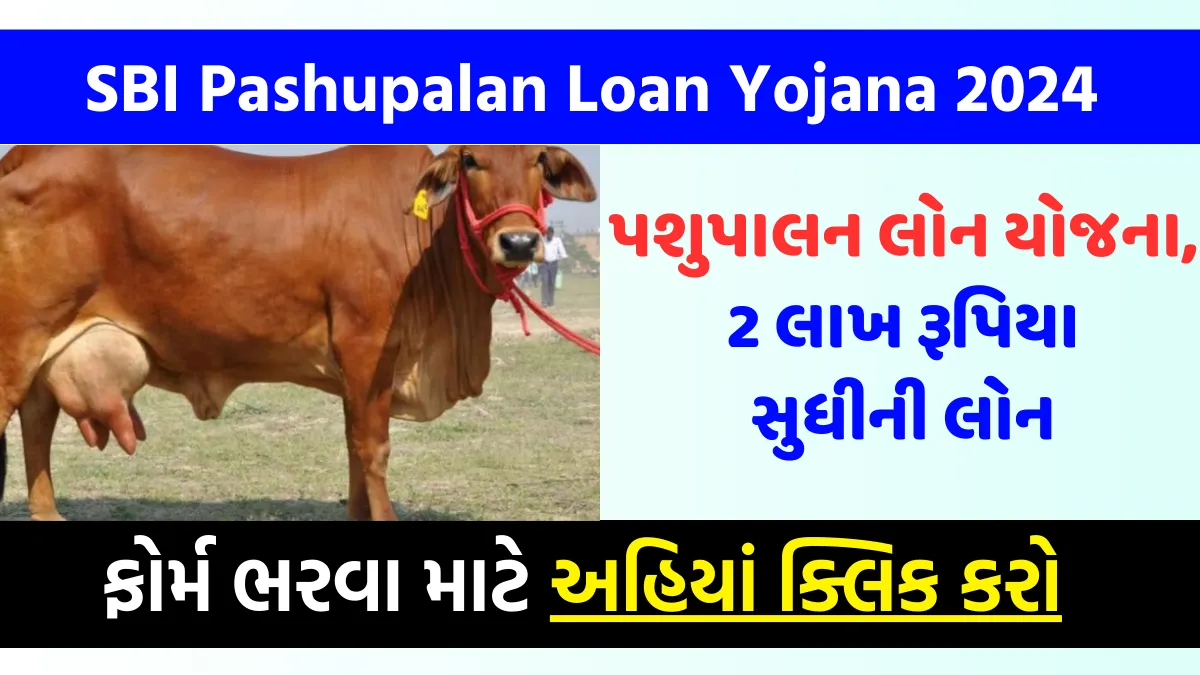 SBI Pashupalan Loan Yojana 2024 | પશુપાલન લોન યોજના, 2 લાખ રૂપિયા સુધીની લોન 1 પશુપાલન લોન યોજના 2024, SBI Pashupalan Loan Yojana 2024
