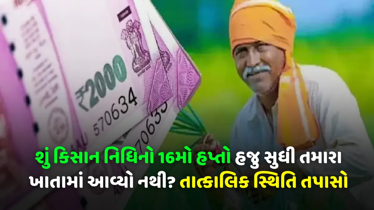 શું કિસાન નિધિનો 16મો હપ્તો હજુ સુધી તમારા ખાતામાં આવ્યો નથી? તાત્કાલિક સ્થિતિ તપાસો - PM Kisan 16th Kist Status Check  1 PM Kisan 16th Kist Status Check
